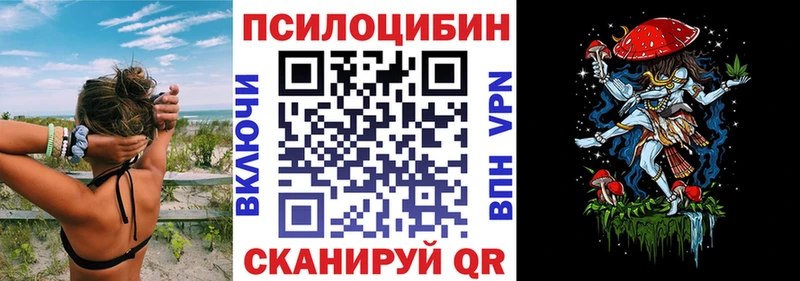 где купить   Арск  Галлюциногенные грибы Psilocybe 